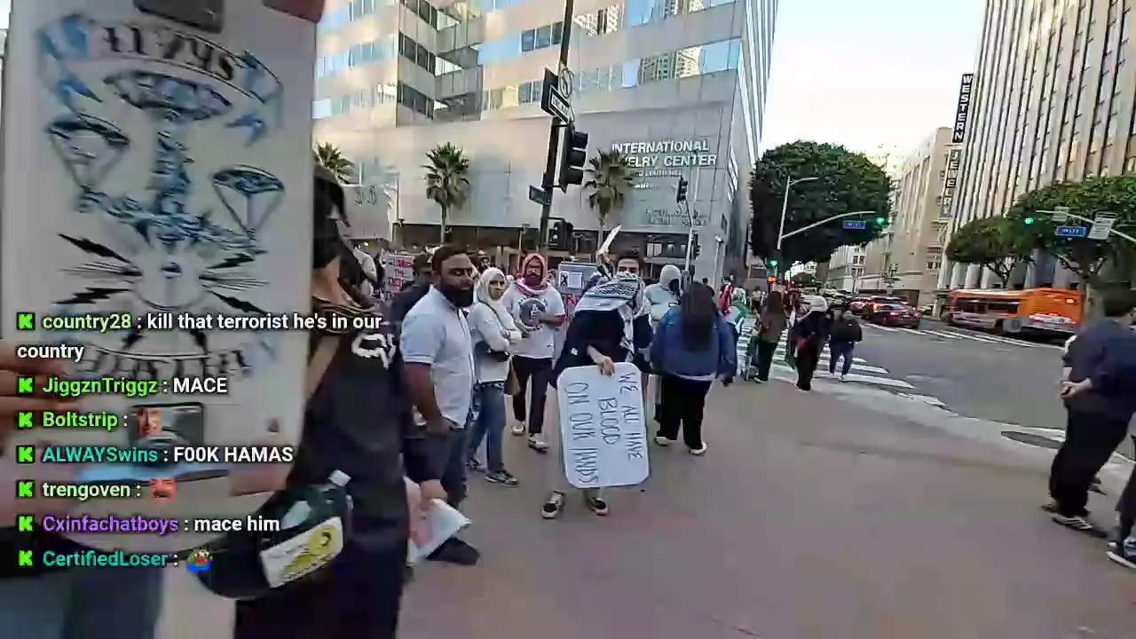 Kick streamer maces someone at a ProPalestinian rally